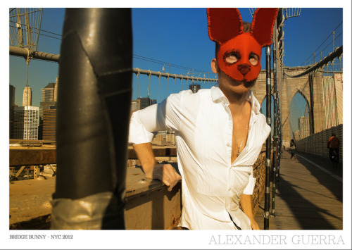  Bridge Bunny - NYC 2012 Alexander Guerra 