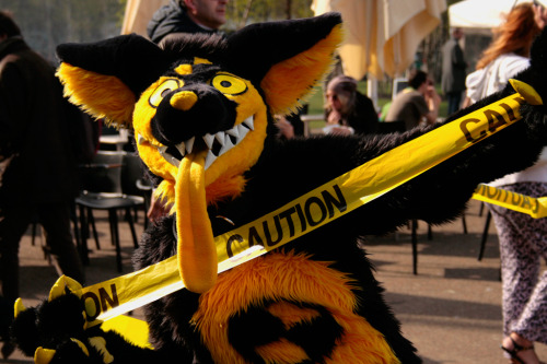 finerfur:Caution! Furries! - by Mikepaws