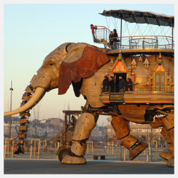 handa:  A mobile elephant house 