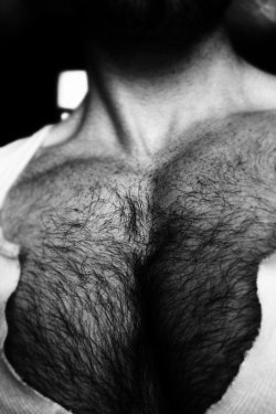 fortheloveofhairy