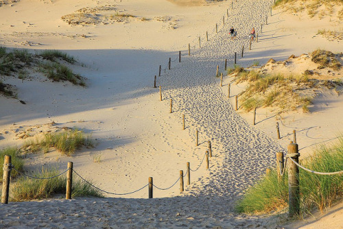 The moving sand dunes of Słowiński National Park in Poland (by PolandMFA).