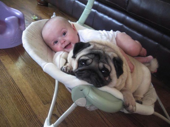 so cute!