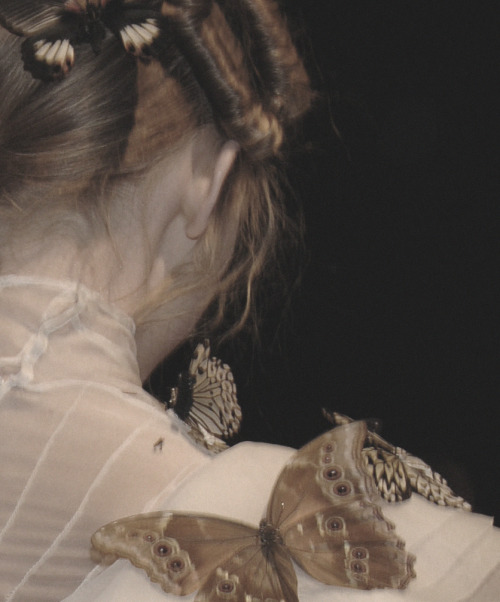 lavandula - alexander mcqueen autumn/winter 2006-2007