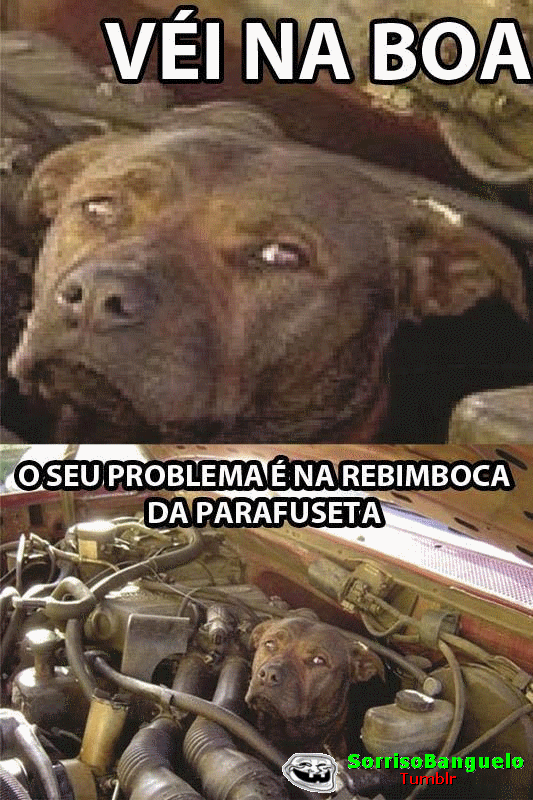 sorrisobanguelo:  ~Rebimboca da oq ? kkkkkkkkk 