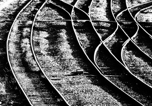 black-and-white:  Track (by Harry Wakefield) 