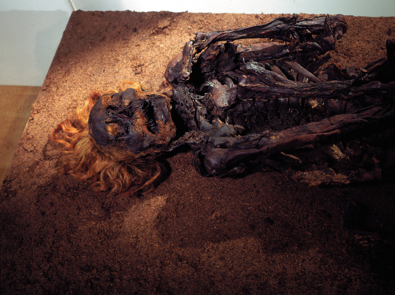  Bog bodies, which are also known as bog people, are the naturally preserved human