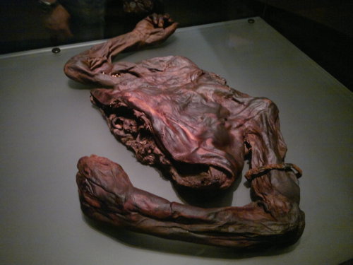  Bog bodies, which are also known as bog people, are the naturally preserved human