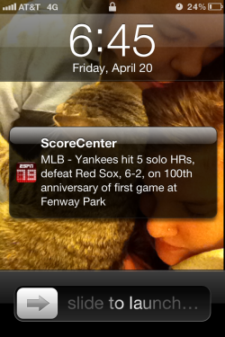 lesb1an:  mroge:  Well well  THIS JUST IN: THE YANKEES SUCK DICK 