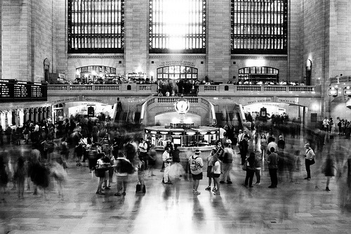black-and-white:  (by emily golitzin) 