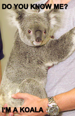 Lolzpicx:  Just Funny Pics Click Here For More
