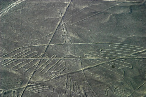     The Nazca lines are massive geoglyphs in the Nazca desert of Peru. The hundreds of designs were 