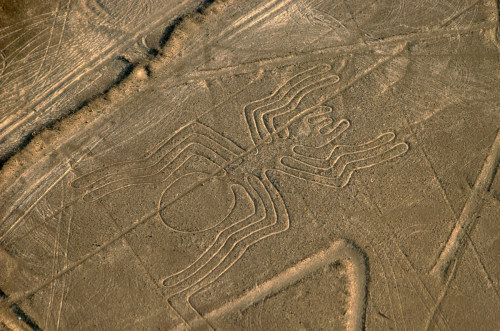     The Nazca lines are massive geoglyphs in the Nazca desert of Peru. The hundreds of des