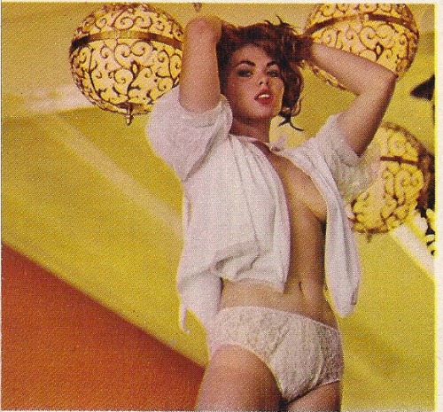 Dian Garrett, Playboy, October 1960, The porn pictures