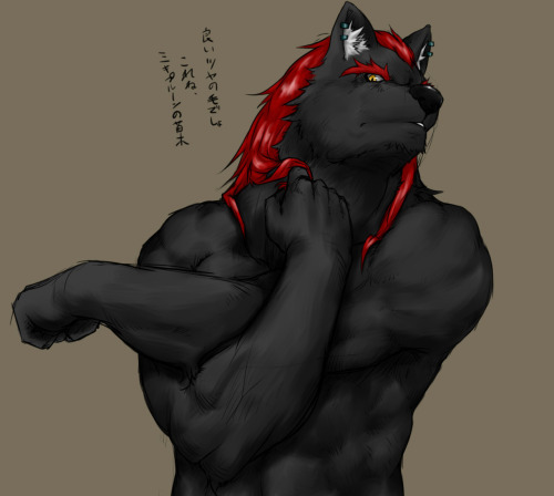 bara bard