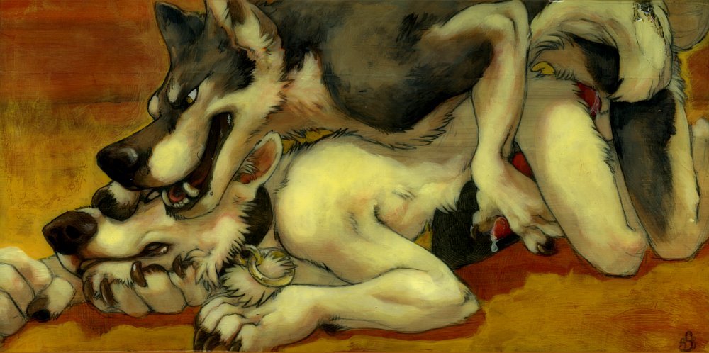 pbkay:   But you’re a dog, he said. Dogs don’t get to talk. Dogs can whine and