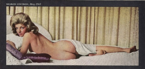 Porn Pics Sharon Cintron, Playboy, November 1964, Miss