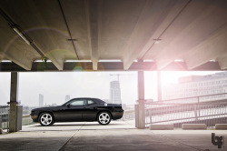 automotivated:  Photoshoot Dodge Challenger R/T Classic (by Bas Fransen Photography)