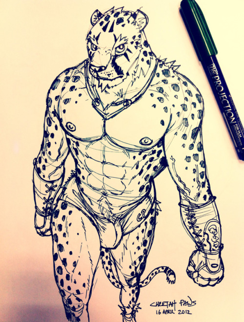pandragonwolf:  Sketch - Cheetahpaws - by cheetahpaws 