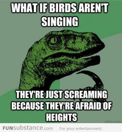 funsubstancecom:  Why birds sing More funny