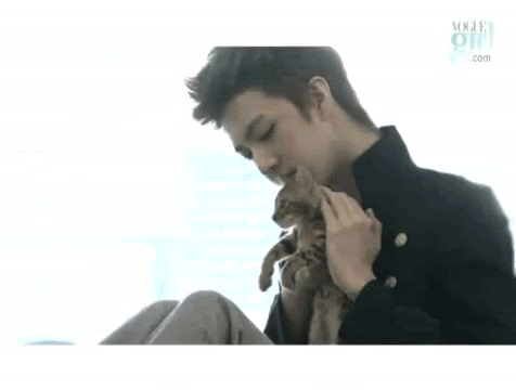 ok no. no wth. Cutie Thunder + cat = fangirl spazzing on the floor.
