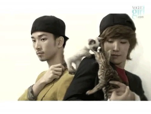 Porn Pics OHMYGAWD…G.O… + Joon + Cats..