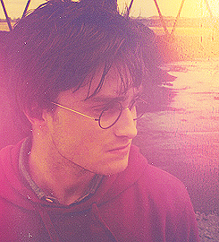 Harry Potter Eterno