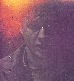 Harry Potter Eterno