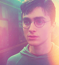 Harry Potter Eterno