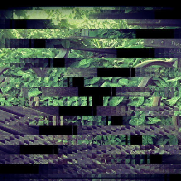 Publicado com o instagram