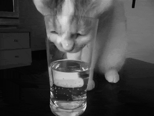 maktub