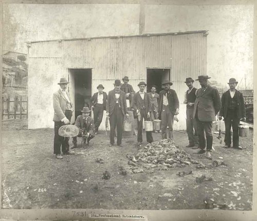 Rat catchers in Sydney, Australia, circa 1900.