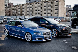 X-Rated Luxury