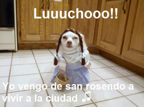 Paparelepipedo:3