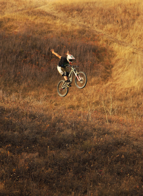 Toddcycles