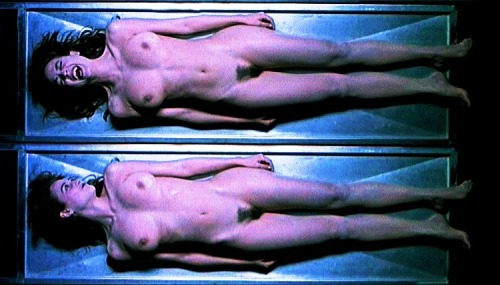 venusthecat: Leonor Watling
