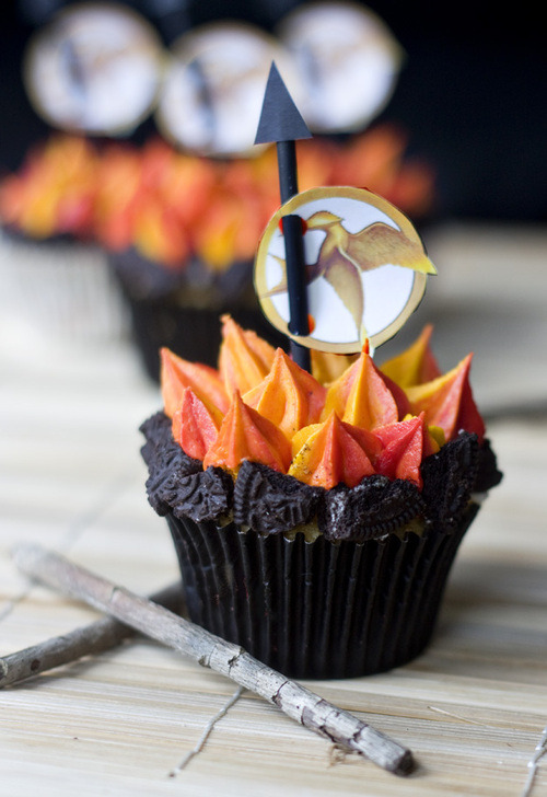 kittiesandcake:  Catching Fire Featured on Kitties and Cake: http://kittiesandcake.tumblr.com/ 