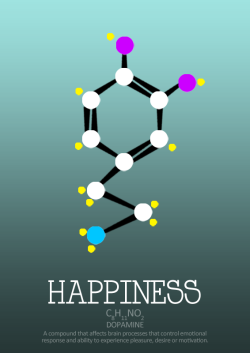  Ingredients of life Illustrations of Chemical compounds by Rex 