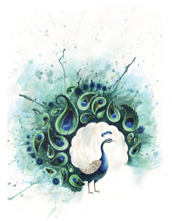 showslow:  Peacocks by Tracey Cameron.