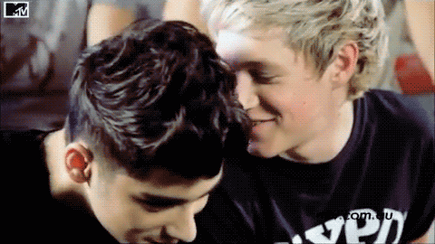 omgloveonedirection:  mrsstylpayhoralikson:  *cough* homosexuals *cough*  …..this