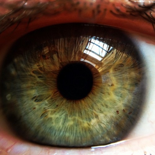 Can I take a picture of your eye? (this is @bsdfm) (Taken with instagram)