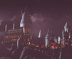 biggestharrypotterfanever:  ” Hogwarts will always be there to welcome you home