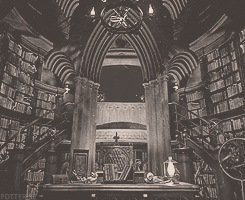 biggestharrypotterfanever:  ” Hogwarts will always be there to welcome you home