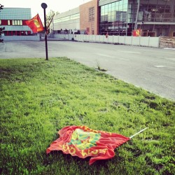 Green Economy - #Igerspadova #Italy #Green#Red#Fiom#Veneto  (Scattata Con Instagram