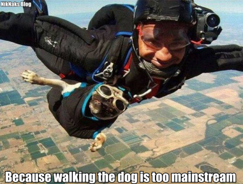 laugh-addict:  You will laugh here! 