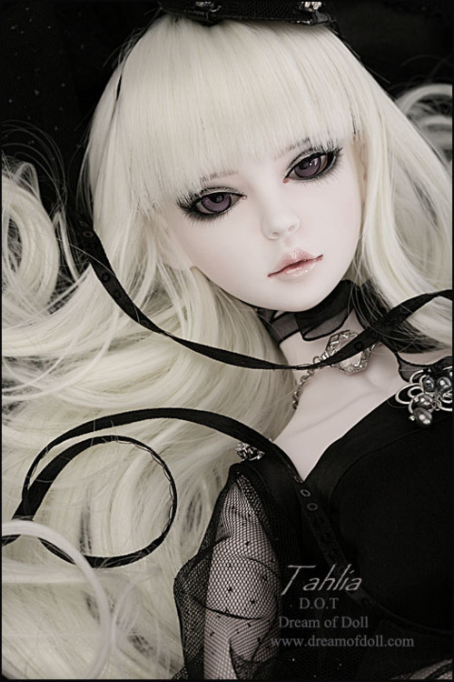 Ememchan8 — Dream of Doll: Tahlia.