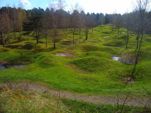 pyrrhiccomedy:  Looks kind of strange, doesn’t it? The way the ground ripples like that? This is Verdun today. During World War I, seven hundred thousand people died in battle here, with another three hundred thousand dead from injuries, over the course