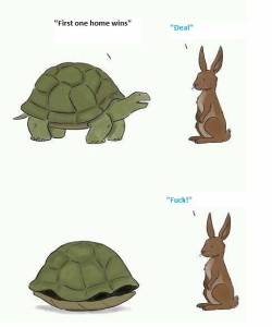 sunshinewithhealthysprinkles:  Turtle ftw.