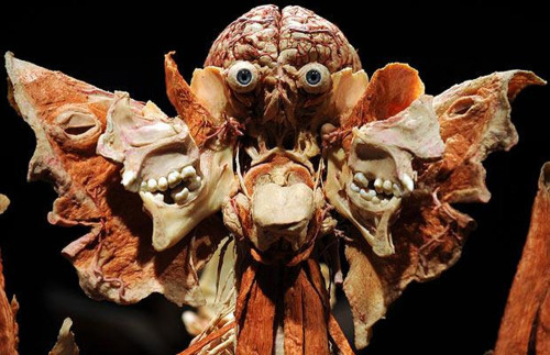 disgustinghuman:  decayedintelligence:  Gunther von Hagens, a German anatomist, uses real cadavers, preserved by plastination, to display the anatomy of human and animal bodies.  currently giggling over the dude’s visible butthole 