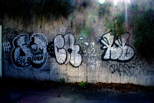 SALO X CASP X KOMPSheffield