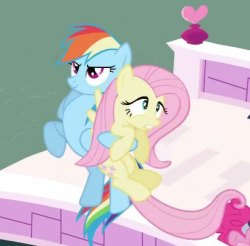 Sturmpony:  Yeah, Totally Not Lesbian Horses, Not One Bit.